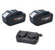 Акумуляторна батарея Procraft Battery20/8 8 Ач - 2 шт + Зарядний пристрій Procraft Charger20/2