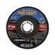 Диск пелюстковий Procraft FZ125P100T29 UNIVERSAL 7222546 фото 1