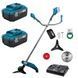 Акумуляторна коса PROFI-TEC PGT4540 POWERLine + 2 АКБ (PT2080EP) 20/8 + QBCD20/4 dual quick (4.0 A) 6492406 фото 1