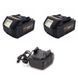 Набор Procraft HB-2 (2&times;АКБ 20В/4Ач, Charger20/1) UNIVERSAL 6254530 фото 1