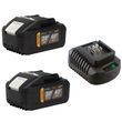 Акумуляторна батарея Procraft Battery20/40 (20В 8Аг, 40В 4Аг) 2 шт + Зарядний пристрій Procraft Charger40/2A