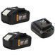 Акумуляторна батарея Procraft Battery20/40 (20В 8Аг, 40В 4Аг) 2 шт + Зарядний пристрій Procraft Charger40/2A 2588241 фото 1