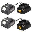 Акумуляторна батарея Procraft Battery20/4С 4 Аг Type-C: 2 шт + Зарядний пристрій Procraft Charger20/1 ECO: 2 шт